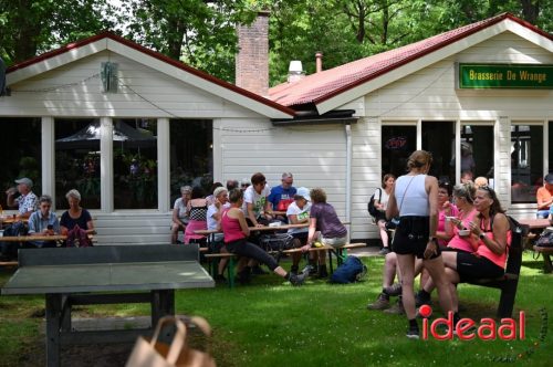 Achterhoekse Wandeldagen - deel 6 (31-05-2025)