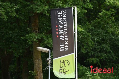 Achterhoekse Wandeldagen - deel 6 (31-05-2025)