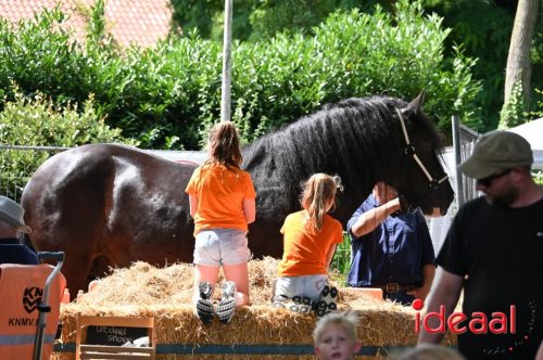 Zelhemse Zomerfeesten - deel 2 (12-07-2025)