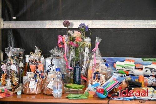 Zelhemse Zomerfeesten - deel 2 (12-07-2025)