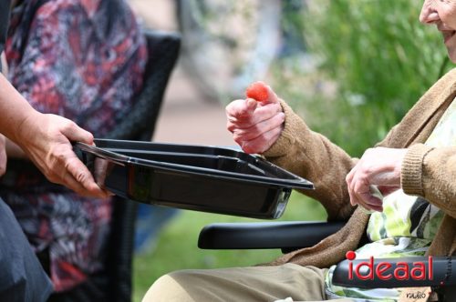 Zelhemse Zomerfeesten - deel 2 (12-07-2025)