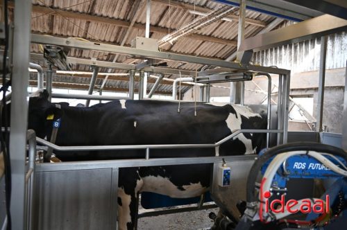 Fiets de Boer op Zelhem/Halle (13-08-2025)