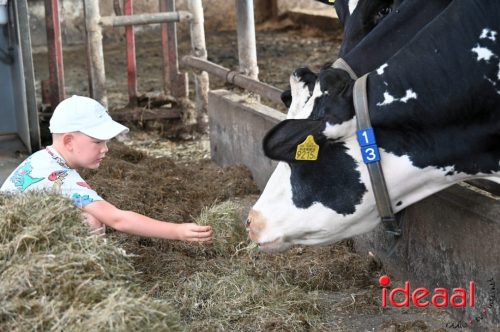 Fiets de Boer op Zelhem/Halle (13-08-2025)