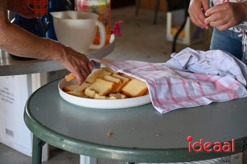 Fiets de Boer op Zelhem/Halle (13-08-2025)