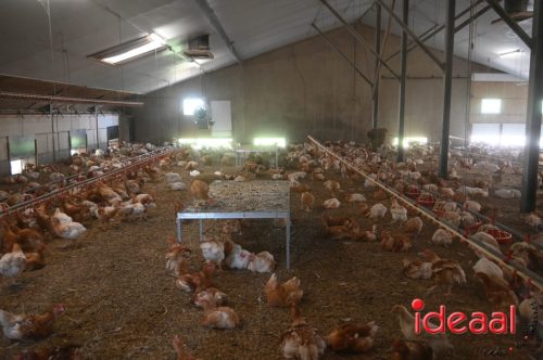 Fiets de Boer op Zelhem/Halle (13-08-2025)