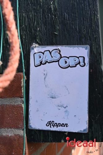 Fiets de Boer op Zelhem/Halle (13-08-2025)