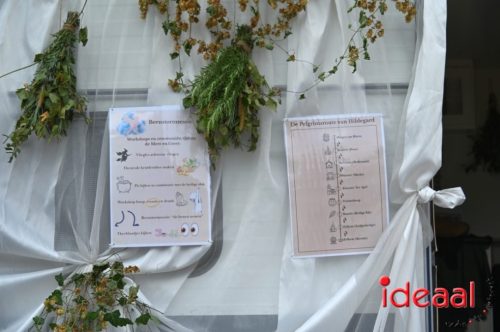 Septemberfeesten Zelhem - optocht - deel 2 (20-09-2025)