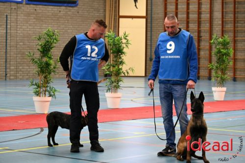 Indoor politiehonden training (01-03-2026)