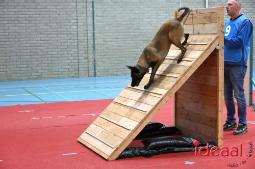 Indoor politiehonden training (01-03-2026)