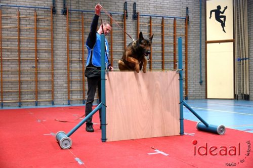 Indoor politiehonden training (01-03-2026)