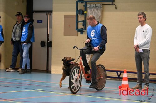 Indoor politiehonden training (01-03-2026)