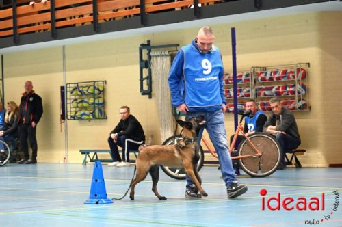 Indoor politiehonden training (01-03-2026)