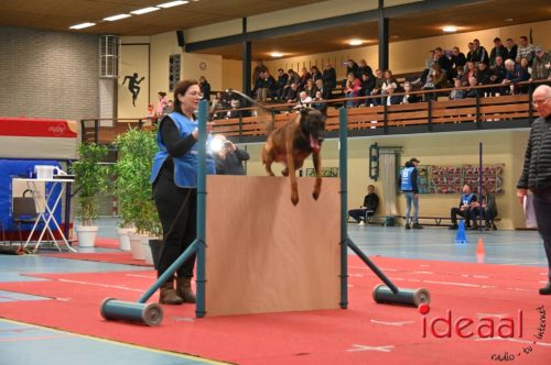 Indoor politiehonden training (01-03-2026)
