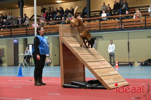 Indoor politiehonden training (01-03-2026)