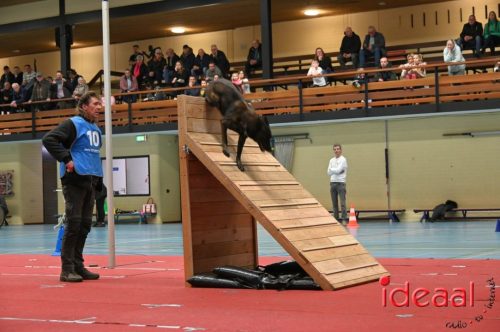 Indoor politiehonden training (01-03-2026)
