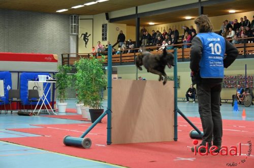 Indoor politiehonden training (01-03-2026)