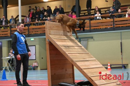 Indoor politiehonden training (01-03-2026)