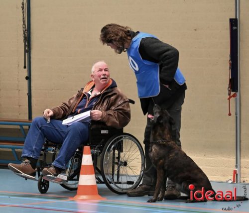 Indoor politiehonden training (01-03-2026)