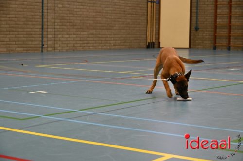 Indoor politiehonden training (01-03-2026)