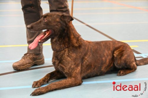 Indoor politiehonden training (01-03-2026)
