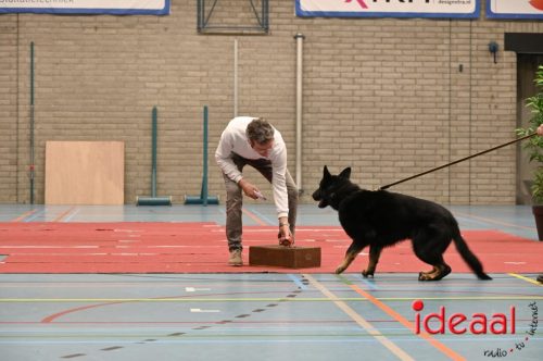 Indoor politiehonden training (01-03-2026)