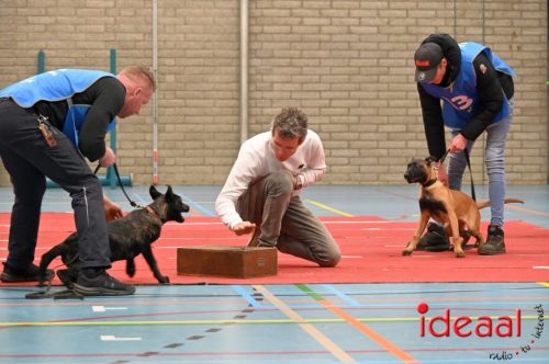Indoor politiehonden training (01-03-2026)