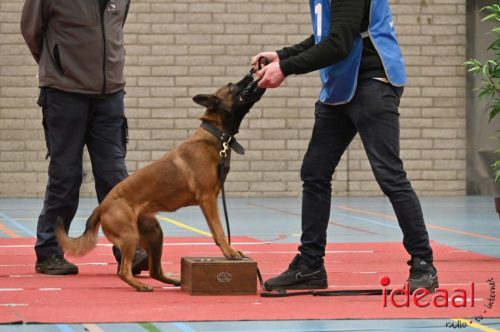 Indoor politiehonden training (01-03-2026)