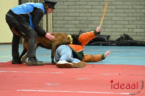 Indoor politiehonden training (01-03-2026)