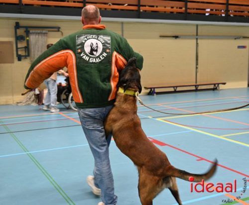 Indoor politiehonden training (01-03-2026)
