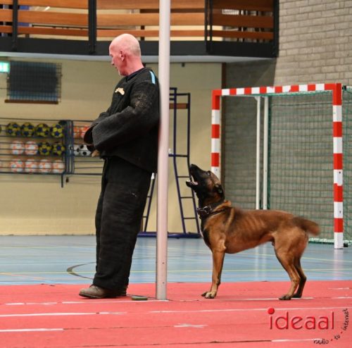 Indoor politiehonden training (01-03-2026)