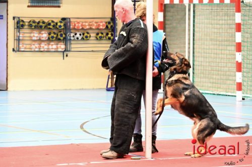 Indoor politiehonden training (01-03-2026)