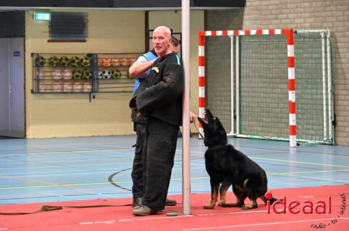 Indoor politiehonden training (01-03-2026)