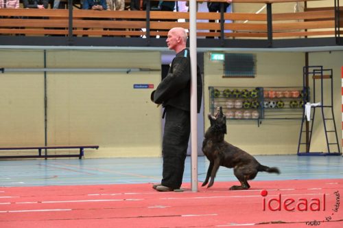 Indoor politiehonden training (01-03-2026)