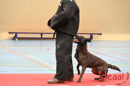 Indoor politiehonden training (01-03-2026)