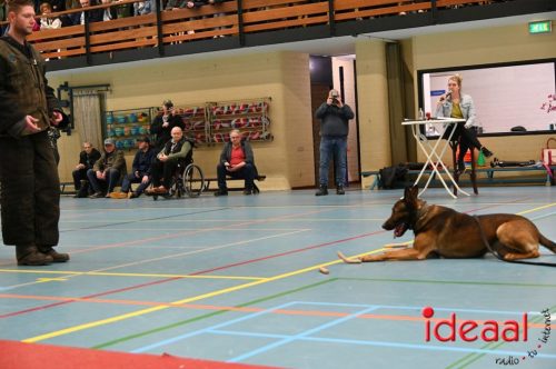 Indoor politiehonden training (01-03-2026)