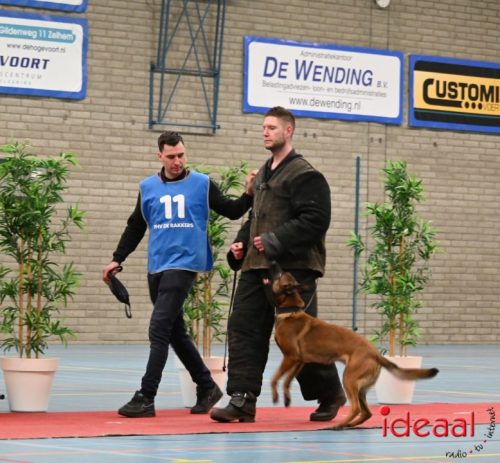 Indoor politiehonden training (01-03-2026)