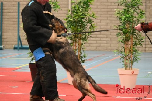 Indoor politiehonden training (01-03-2026)