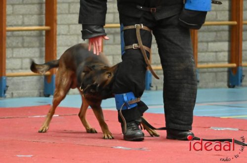 Indoor politiehonden training (01-03-2026)