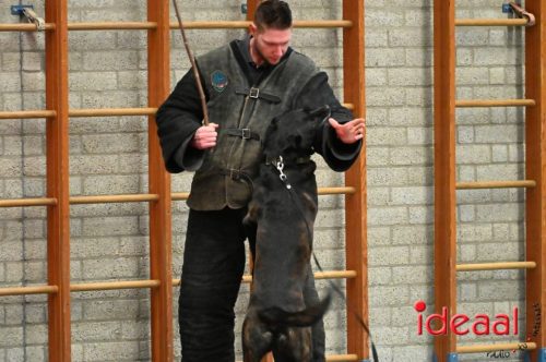 Indoor politiehonden training (01-03-2026)