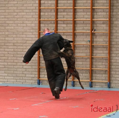 Indoor politiehonden training (01-03-2026)