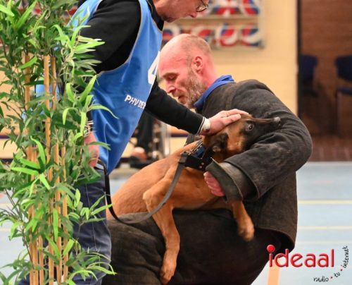 Indoor politiehonden training (01-03-2026)