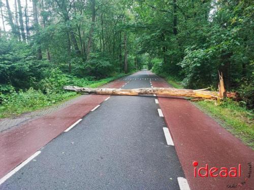 Boom op weg nabij Vorden (10-06-2024)