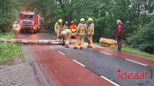 Boom op weg nabij Vorden (10-06-2024)