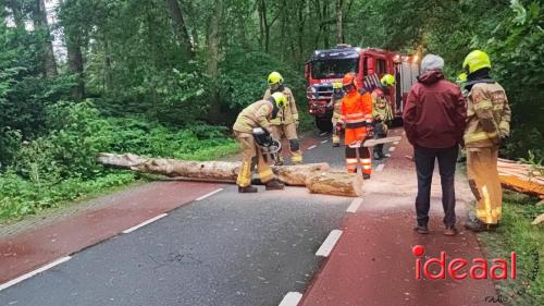 Boom op weg nabij Vorden (10-06-2024)