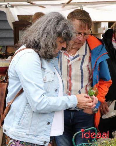 Vive La France in Hummelo - deel 2 (13-07-2024)