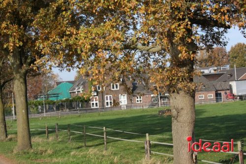 Dag van de mantelzorgers Oude IJsselstreek (07-11-2025)