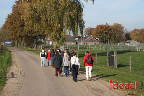 Dag van de mantelzorgers Oude IJsselstreek (07-11-2025)