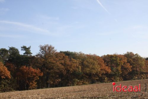 Dag van de mantelzorgers Oude IJsselstreek (07-11-2025)