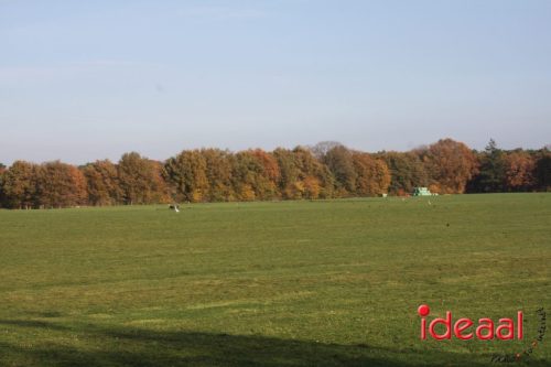 Dag van de mantelzorgers Oude IJsselstreek (07-11-2025)