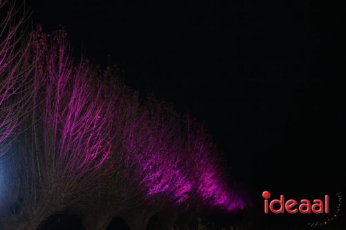 De Belevenis in natuurgebied Engbergen (07-11-2025)